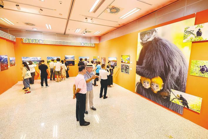Photo exhibition featuring Yangtze River kicks off in Wuhan