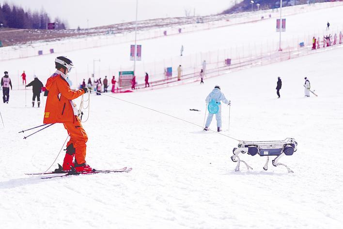 Robotic dog enriches skiing experience in Badong County, Hubei Province