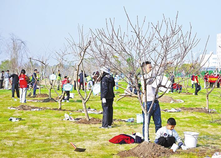 Wuhan embraces spring with citywide tree-planting activity