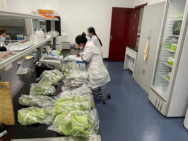 区公共检验检测中心积极开展节前农产品质量安全抽检