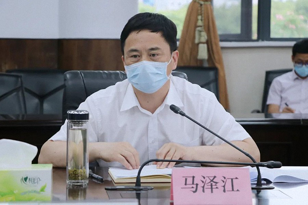 长江新城管委会主任马泽江调研长江新城武湖片区基础设施建设