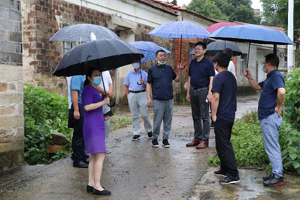 盛洪涛检查我区地质灾害防治工作