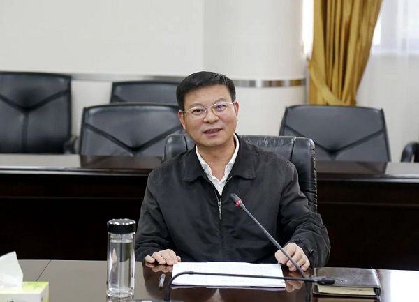 曾晟何建文参加第七次全国人口普查登记黄陂第七次全国人口普查进入