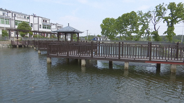 发扬钉子精神下足绣花功夫姚家集街美丽乡村建设带来新变化