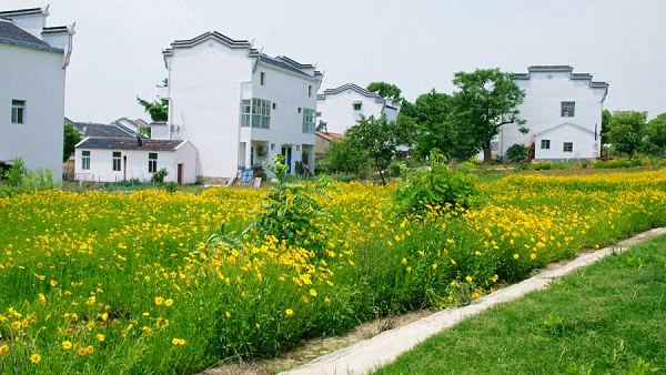 凤凰寨村乡村新面貌村民更有幸福感
