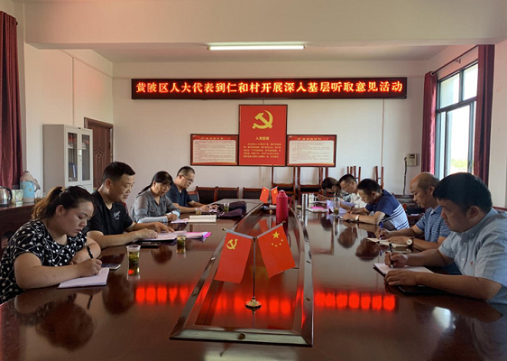 姚家集街开展人大代表三进活动助推精准扶贫脱贫工作