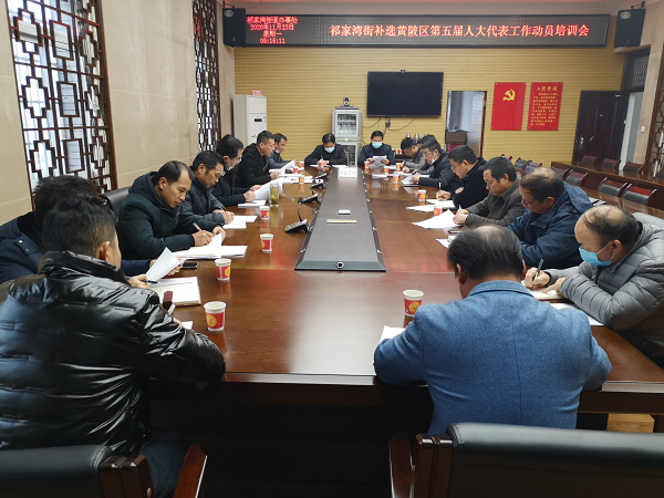 祁家湾街召开补选黄陂区第五届人大代表工作动员培训会