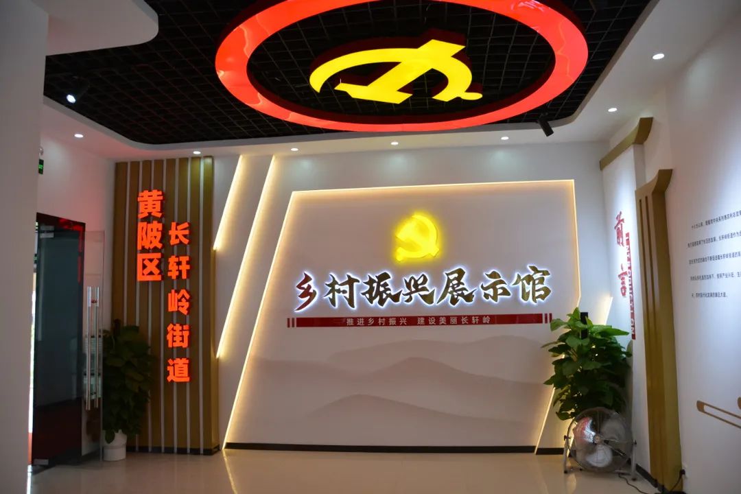 见证发展历史擘画振兴蓝图长轩岭街举办黄陂区长轩岭街乡村振兴展示馆