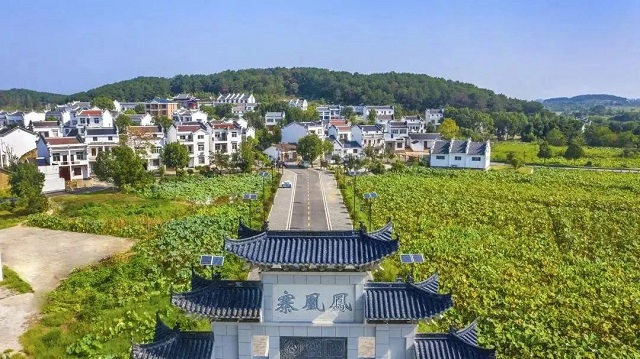 黄陂乡村振兴产业先行