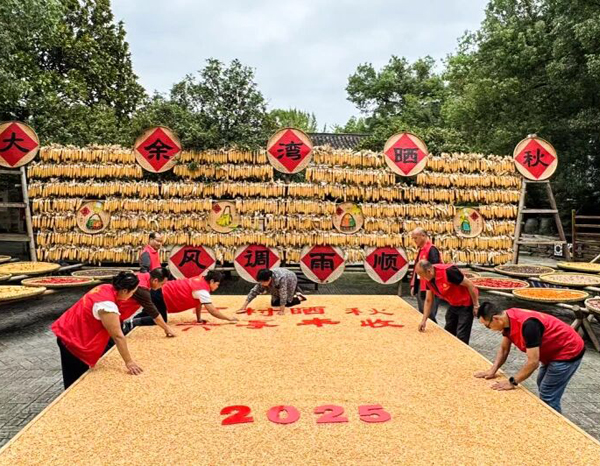 黄陂人大:代表助力晒秋节 共庆丰收促振兴副本